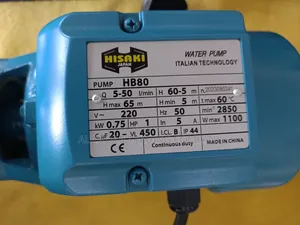 Booster Water Pump Hisaki