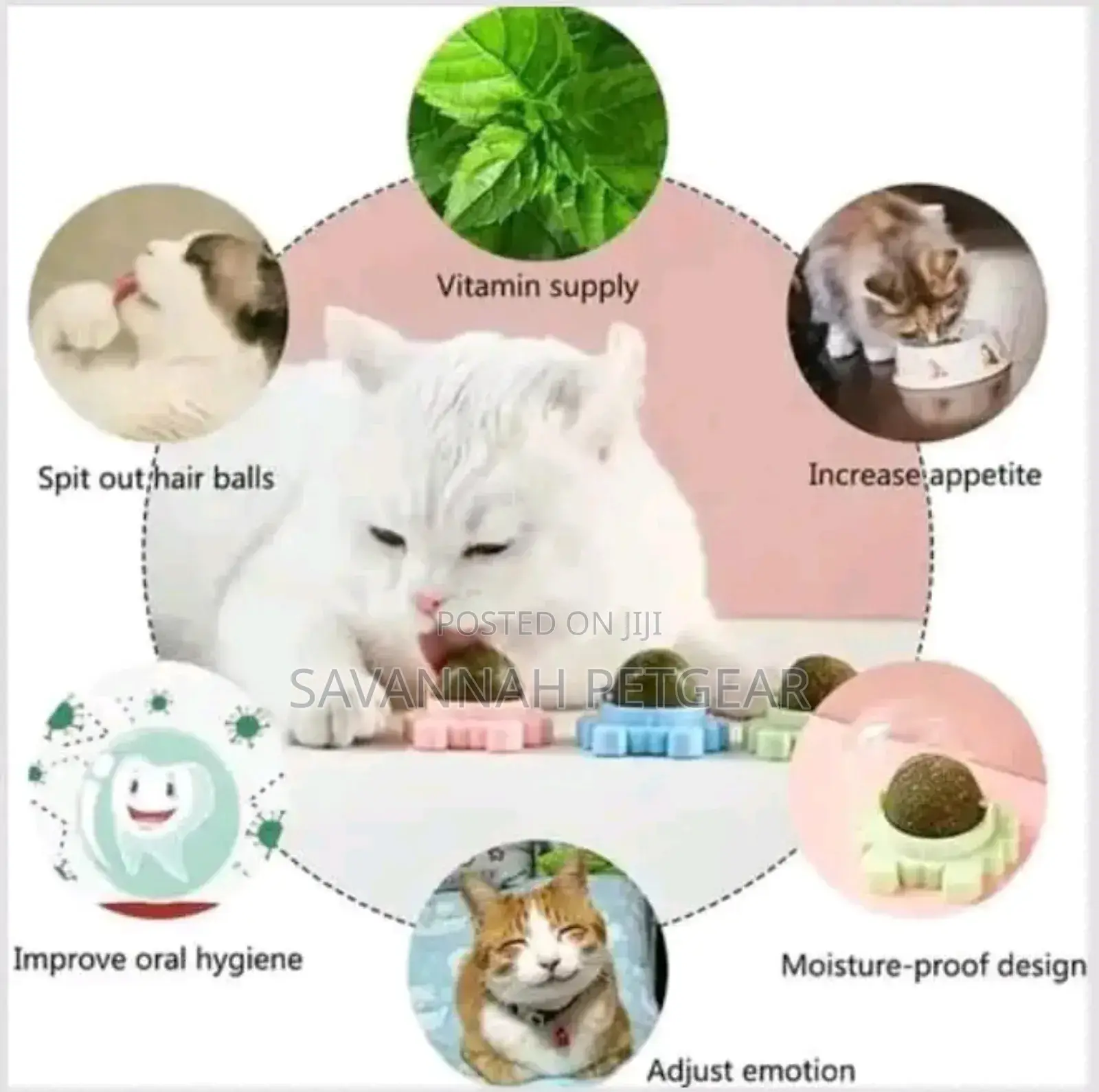 Catnip Ball Now Available