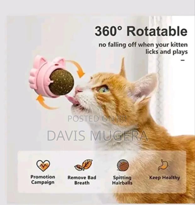 Catnip Ball Now Available - thumbnail 4