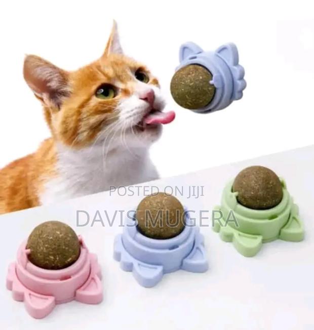 Catnip Ball Now Available - main view