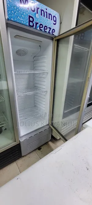 Display 300L Chilling Display