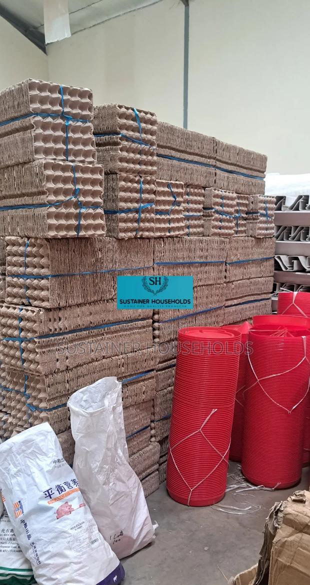 Large Scale Farmer Egg Trays - main view