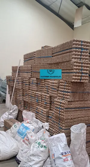 100pcs Carton Heavy Duty Eggs Trays