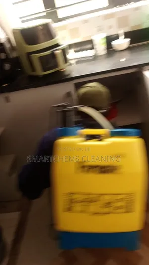 Cockroaches in Cabinets