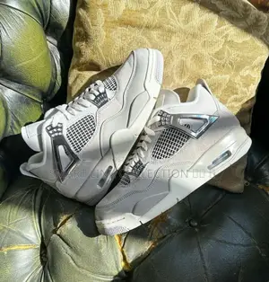 Air Jordan 4 Frozen