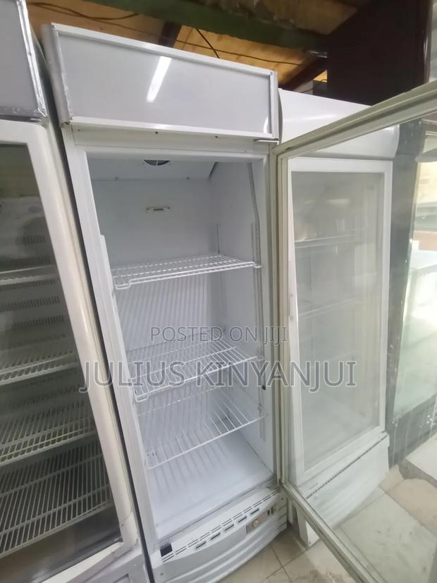 Display Fridge Freshtech