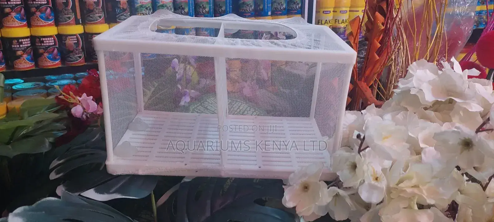 Fish Breeding Box