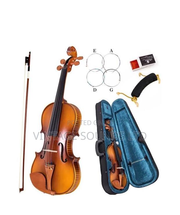 Top Quality Back Sides Highly Flamed Maple Leaf Violin 4/4 - main view