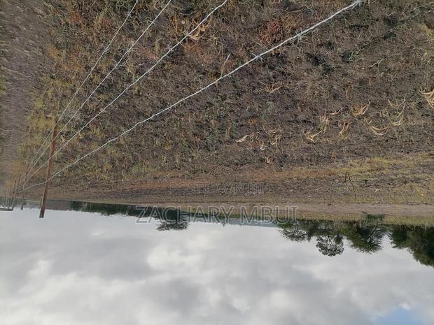 1 Acre, Red Soil, Well Drainage and Accessibility - thumbnail 3