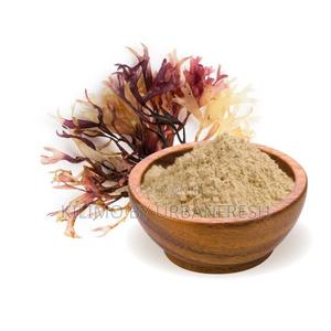 Seamoss 1 Kg - thumbnail 2