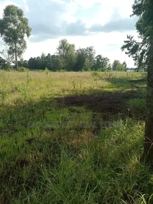 4 Acres on With Title on Sale Ray Farm