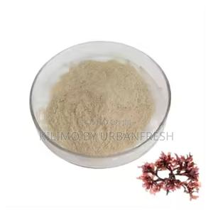 Seamoss 250g - thumbnail 2