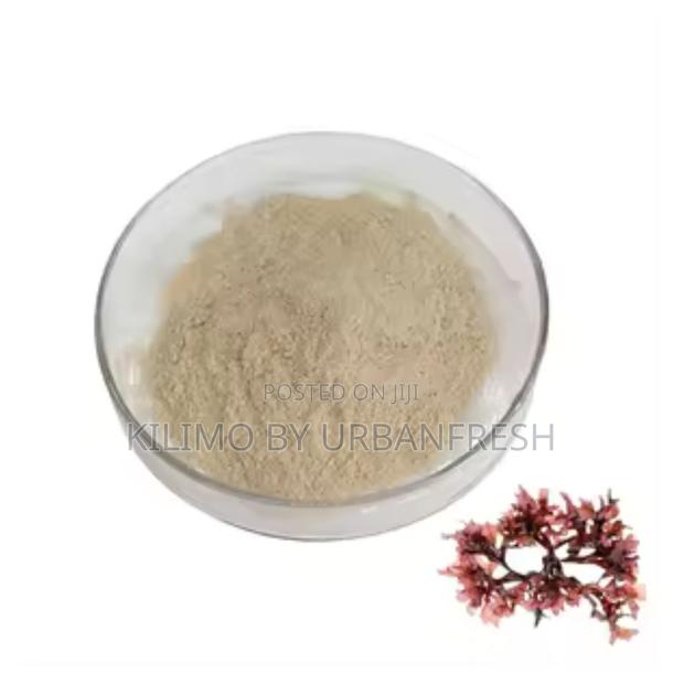 Seamoss 250g - main view