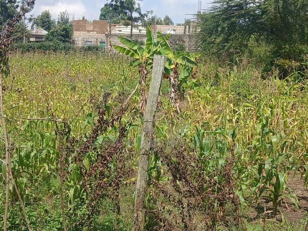 Eighth Acre for Sale in Merisho, Matasia - main view