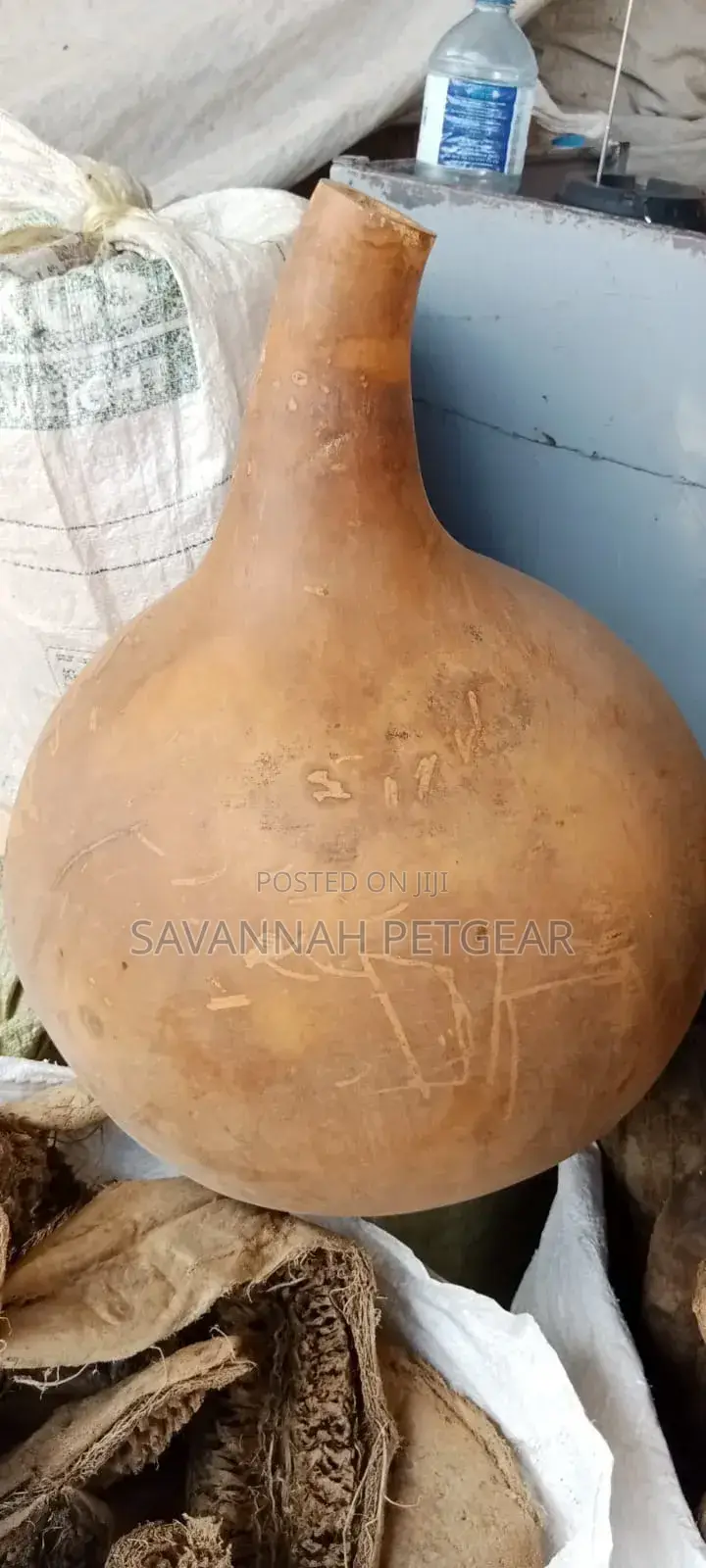 Organic Calabash Gourd for Preserving Muratina - Large Size
