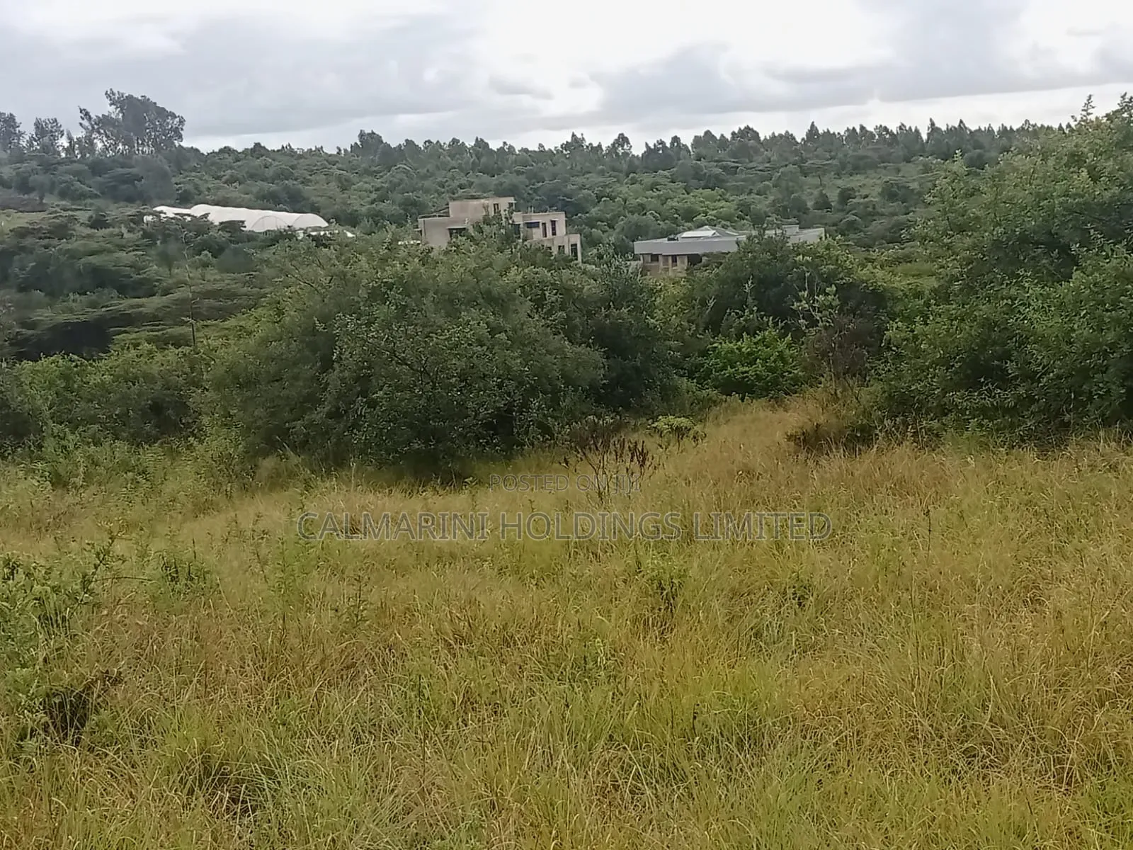 Prime 5 Acre Block for Sale in Merisho, Matasia