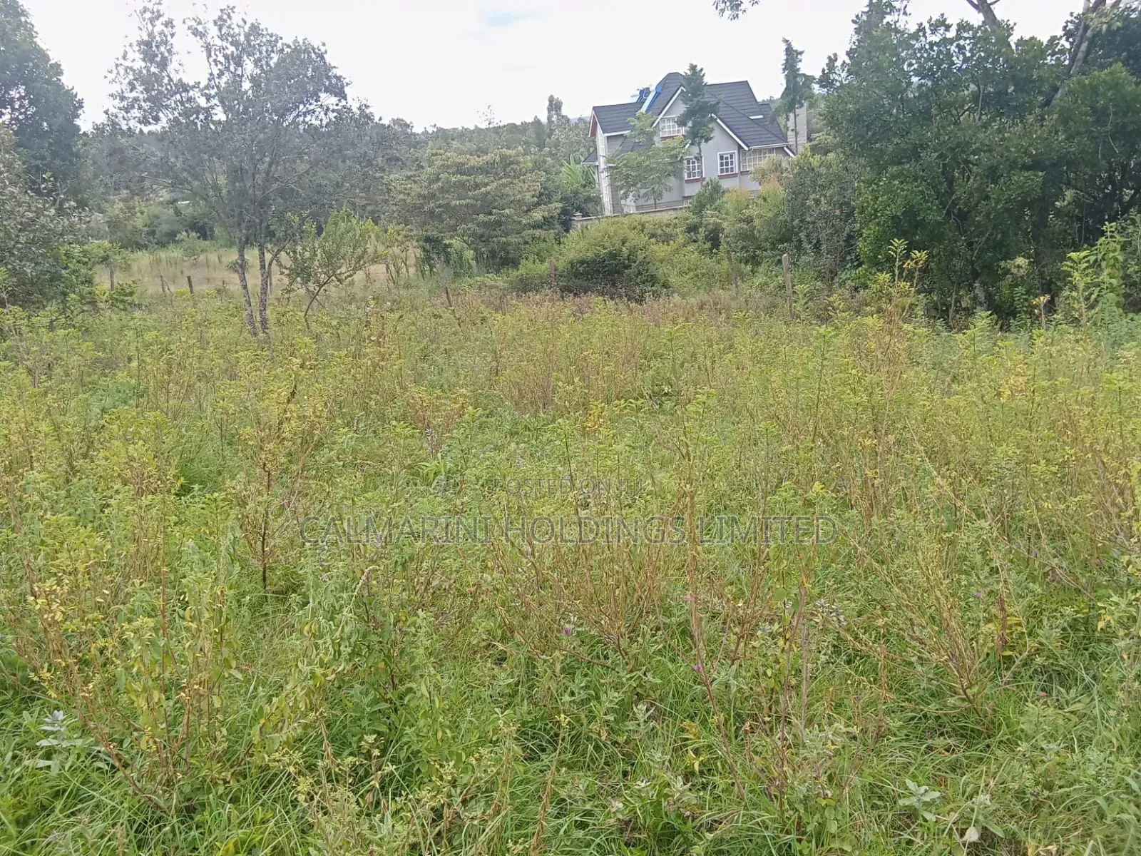 100 by 100 Plot for Sale in Merisho, Matasia