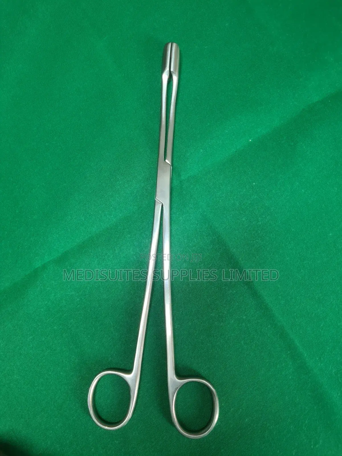 Ovum Forceps Large.