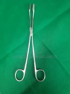 Ovum Forceps Large.