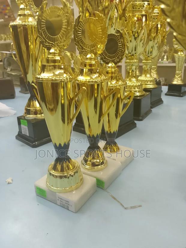 Award Trophy - main view