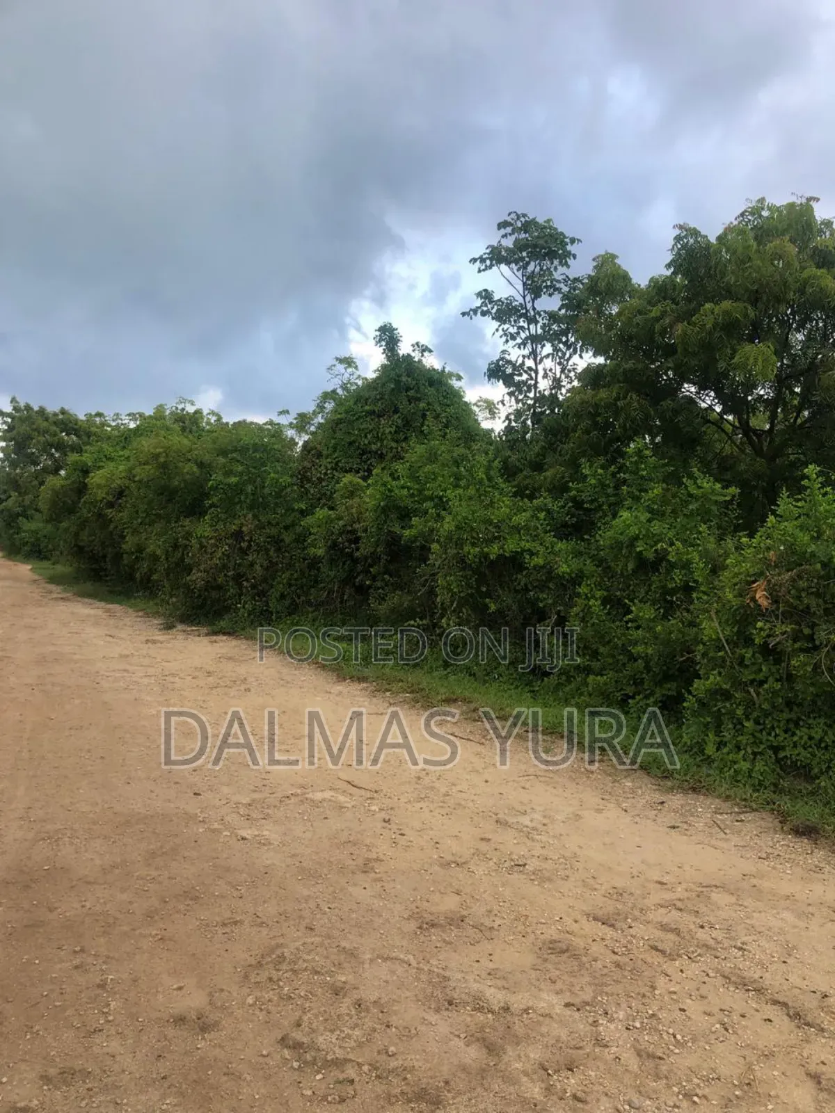 12 Acres of Land at Jacaranda in Watamu in Watamu Land & Plots for