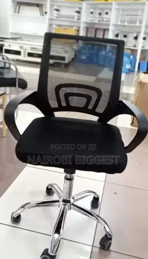 Adorable Assembled Executive Office Chair