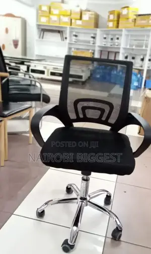 Long Lasting Assembled Executive Office Chair