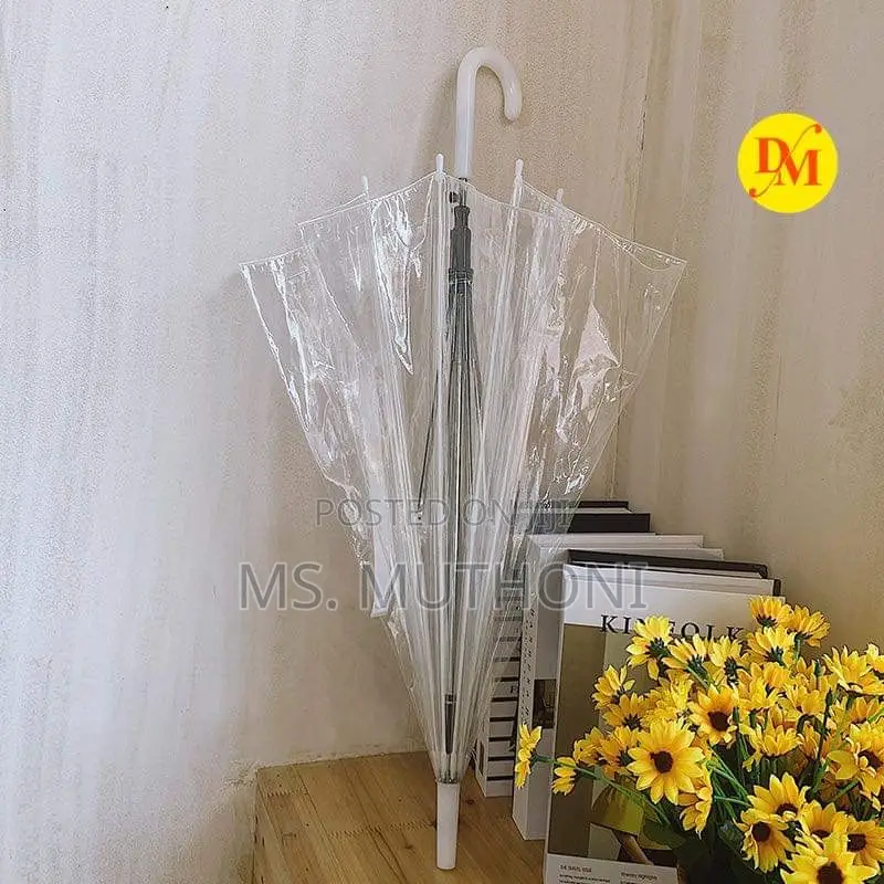 *Transparent Umbrella