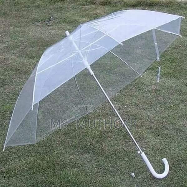 *Transparent Umbrella