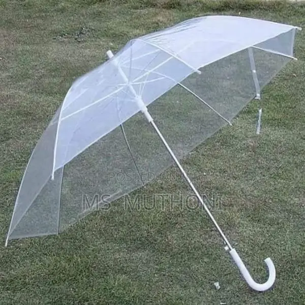 *Transparent Umbrella