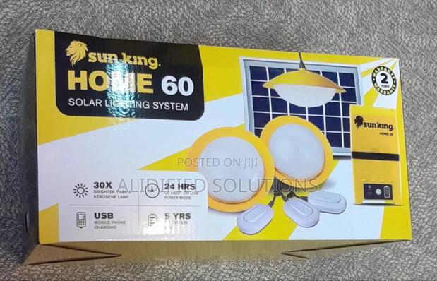 Sunking Home Solar Lighting System - main view