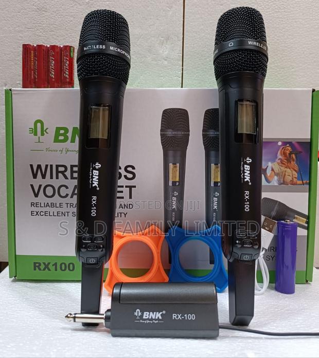 BNK RX-100 Dual Wireless Microphone System - main view
