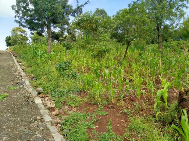 Residential Eighth Acre Plot in Ngong Along Maragara Road - thumbnail 3