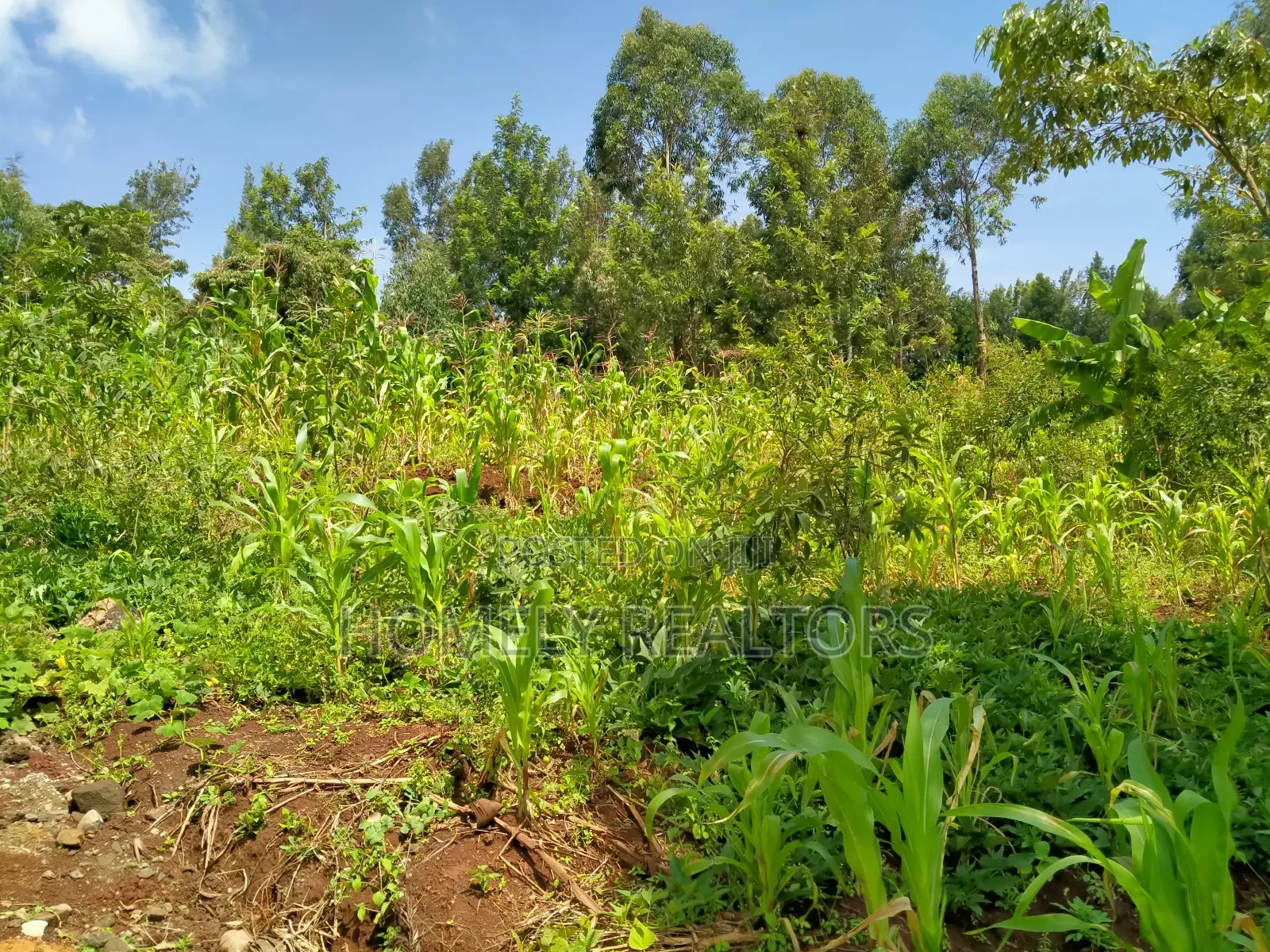 Residential Eighth Acre Plot in Ngong Along Maragara Road