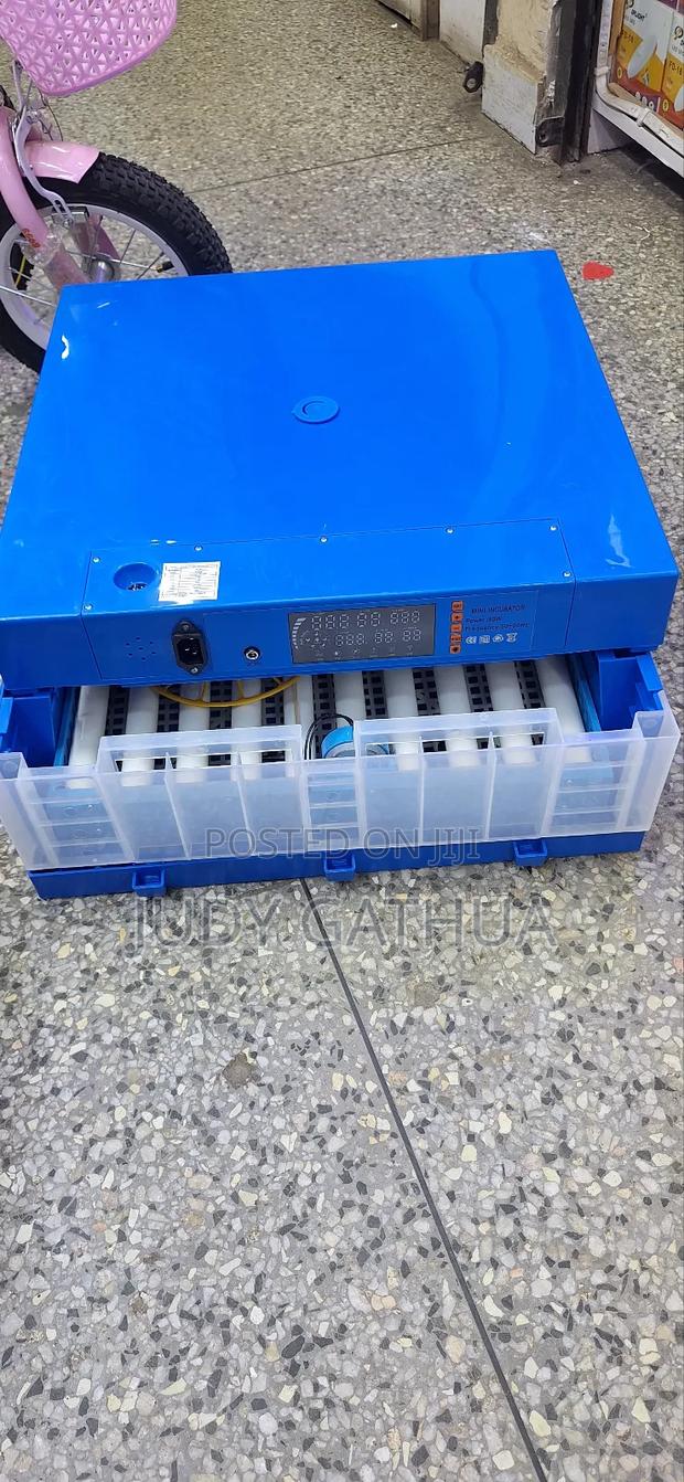 Egg Incubator - main view