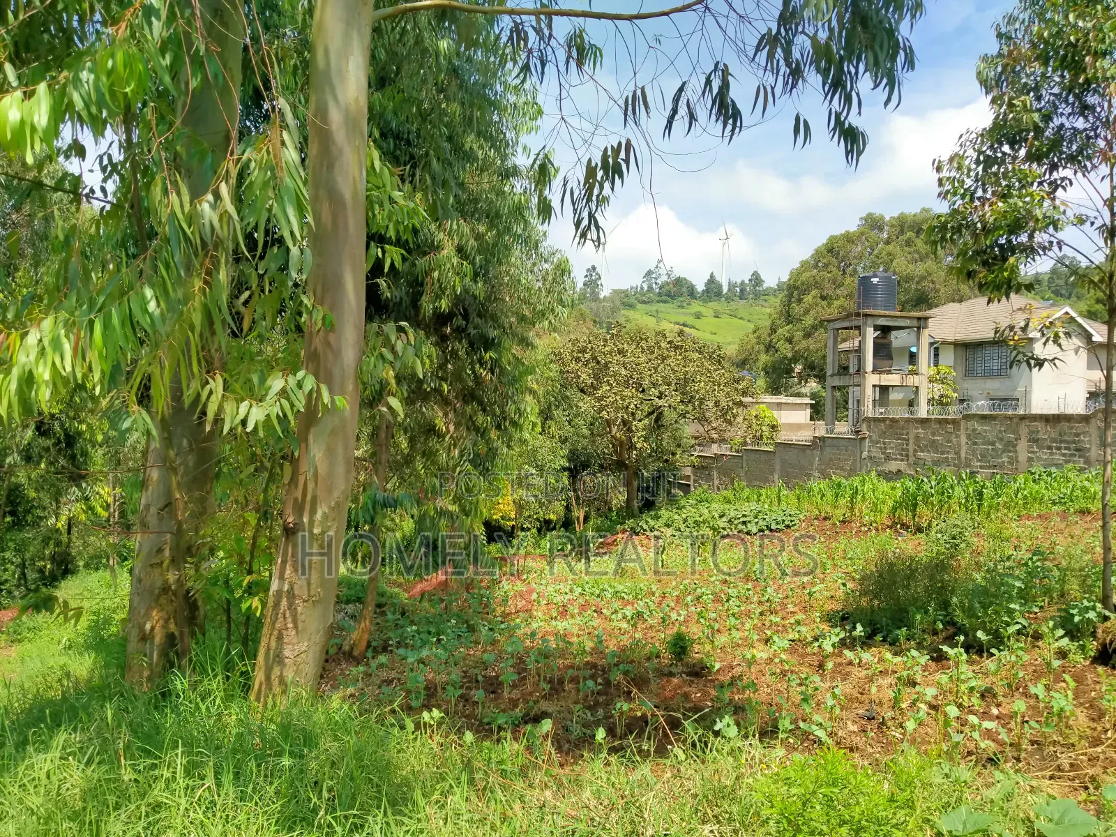 Quarter Acre Plot In Ngong Along Lemiso Road, Near Tarmac