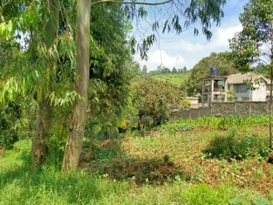 Quarter Acre Plot In Ngong Along Lemiso Road, Near Tarmac
