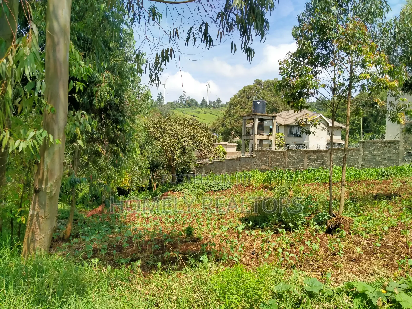 Quarter Acre Plot In Ngong Along Lemiso Road, Near Tarmac