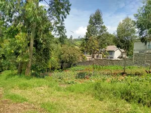 Quarter Acre Plot In Ngong Along Lemiso Road, Near Tarmac