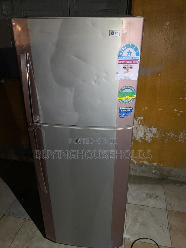 LG 250L No Frost Fridge - thumbnail 6
