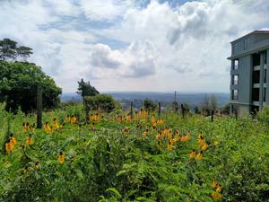 Half Acre 2nd Row Plot in Ngong Along Lemiso Rd, Scenic View - thumbnail 2