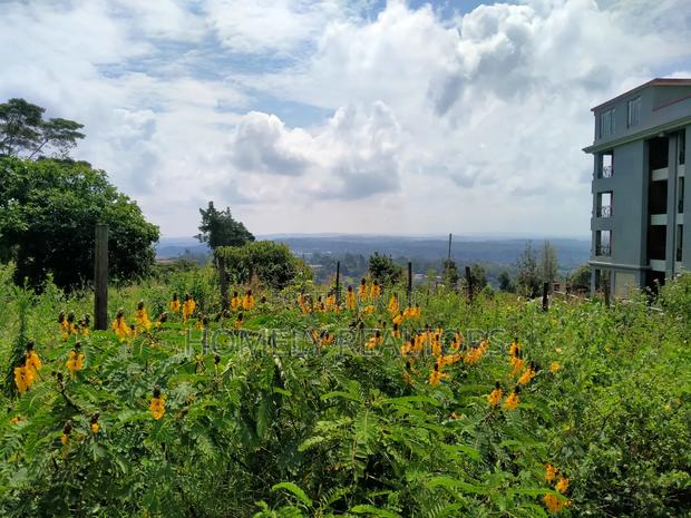 Half Acre 2nd Row Plot in Ngong Along Lemiso Rd, Scenic View - main view