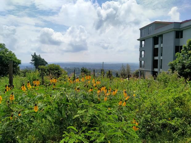 Half Acre 2nd Row Plot in Ngong Along Lemiso Rd, Scenic View - thumbnail 3