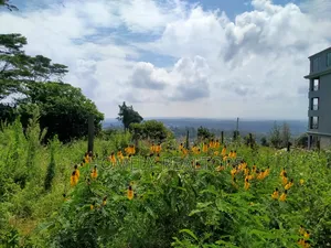 Half Acre 2nd Row Plot in Ngong Along Lemiso Rd, Scenic View