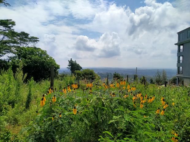 Half Acre 2nd Row Plot in Ngong Along Lemiso Rd, Scenic View - thumbnail 4
