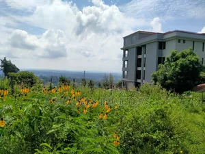 Half Acre 2nd Row Plot in Ngong Along Lemiso Rd, Scenic View