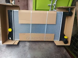 Brand New Radiator for Axio 2010 on Sale
