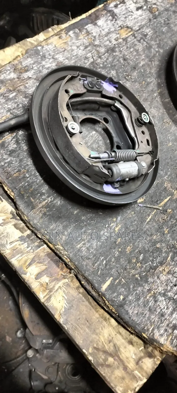 Allion 260 Rear Back Plate Complete