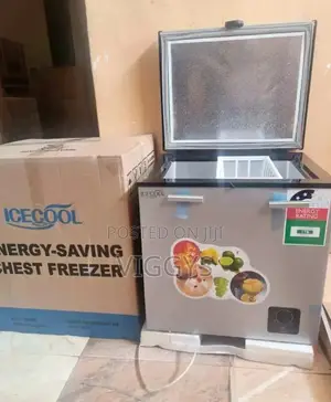 60 Litres Freezer Icecool/Icecool/60l/Freezer