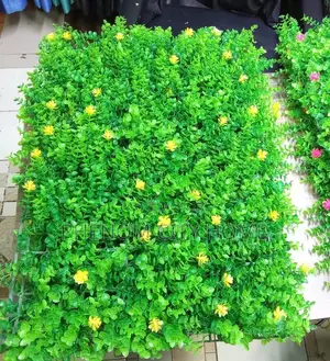 High Density Wall Hedges